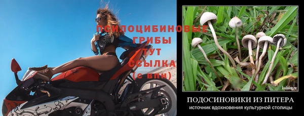 прущие крисы Балахна